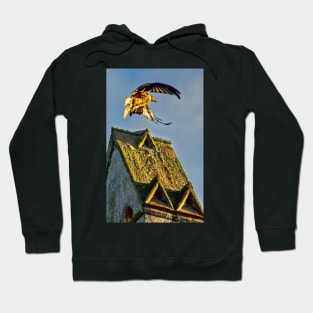 Red Kite Rising Hoodie